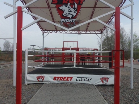 Петицію про безкоштовний спортивний комплекс «Street Fight» у Кременчуці розгляне мер