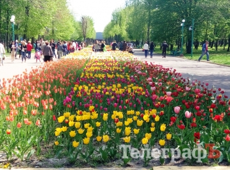 Поездка выходного дня: из Кременчуга - почти в Голландию