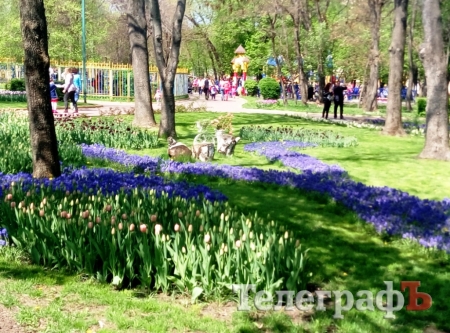 Поездка выходного дня: из Кременчуга - почти в Голландию