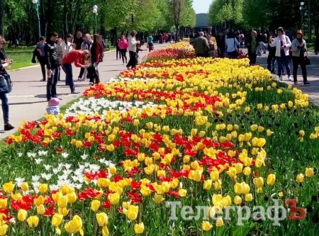 Поездка выходного дня: из Кременчуга - почти в Голландию Поездка выходного дня: из Кременчуга - почти в Голландию