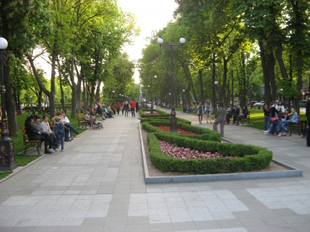 Новая петиция: кременчужане против детей на роликах в сквере им. Бабаева