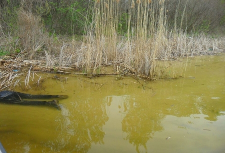 В районе острова Шаламай рыбаки обнаружили труп женщины: опознание