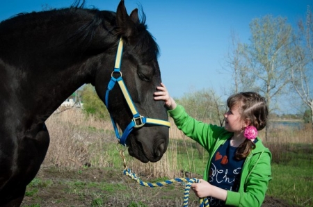 У малыша праздник и необходимо развлечь кучу маленьких гостей?