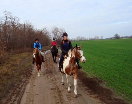 Конные прогулки лучшее средство от усталости