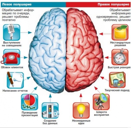 Основы успешного развития ребенка от  центра Smartum.