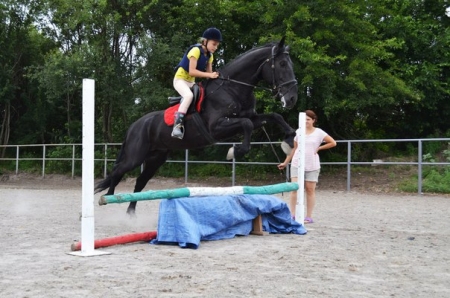 Познайте мастерство верховой езды весело и легко