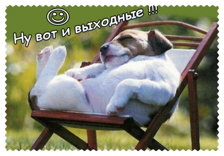 Куда кременчужанам сходить на выходных 30 апреля - 3 мая