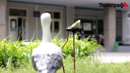 Гриша в небезпеці - кременчуцькі вандали взялися за лелек