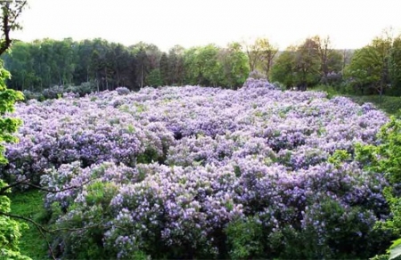 Побег из Кременчуга: варианты для майской поездки выходного дня