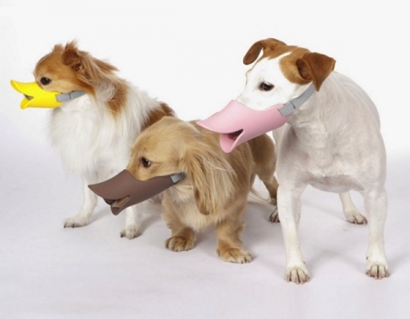 В Кременчуге начнут штрафовать за выгул собак без намордника