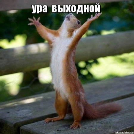 Куда кременчужанам сходить на выходных