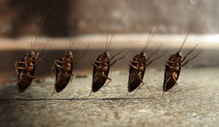 «Ваша дитина цього року у стаціонарі лікарні не перебувала», - дивна відповідь Малецького на петицію «Ваша дитина цього року у стаціонарі лікарні не перебувала», - дивна відповідь Малецького на петицію