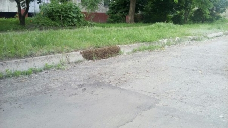 ФОТОФАКТ: Так вот где в Кременчуге мёдом намазано...