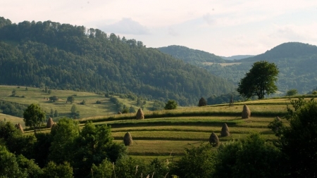 Кременчужанин Саша Михайленко соревнуется в горных гонках «Бескид»