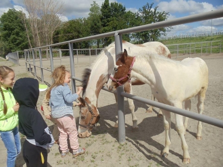Виключно для батьків дітей від 3 до 8 років. Ну дуууууууже вигідна пропозиція!