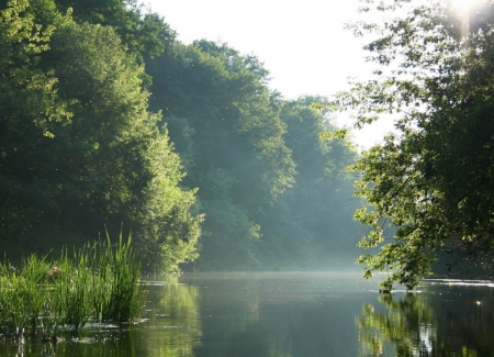 Отдых у речки: где и почем Отдых у речки: где и почем