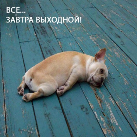 Куда кременчужанам сходить на выходных Куда кременчужанам сходить на выходных