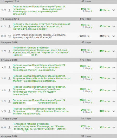 «15 «ксероксів» на передовій, як розтяжки», - кременчуцькі волонтери про котів