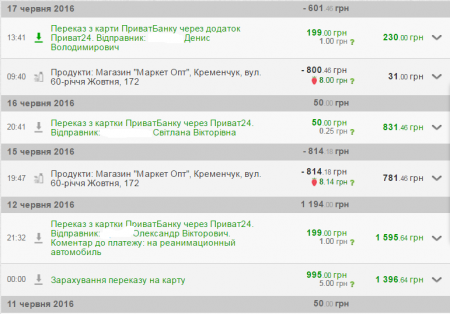 «15 «ксероксів» на передовій, як розтяжки», - кременчуцькі волонтери про котів