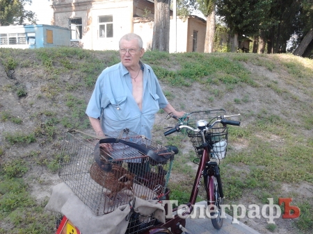На озері у Міському саду з’явилися качки