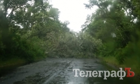 Дорогу на Горишние Плавни завалило деревьями