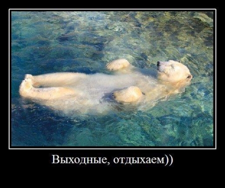 Куда кременчужанам сходить на выходных: уборка, велосипеды и голуби