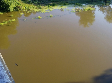 «Чорна» вода тече з Сули до Кременчука