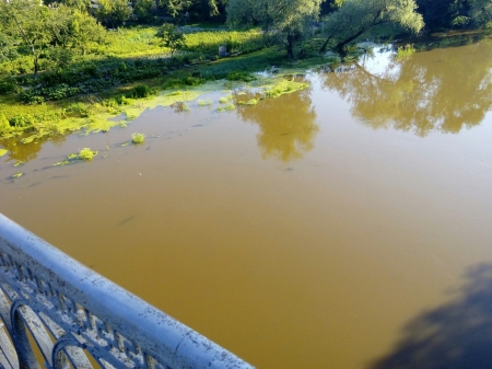«Чорна» вода тече з Сули до Кременчука