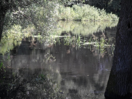 «Чорна» вода тече з Сули до Кременчука