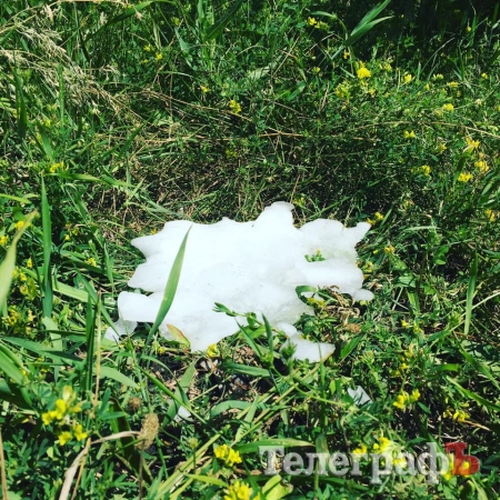 Тем временем где-то в Горишних Плавнях...