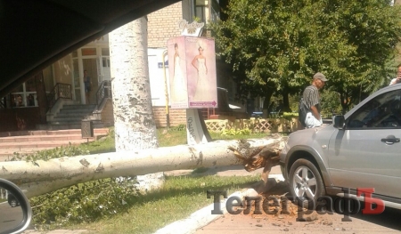ФОТОФАКТ: В Кременчуге машину привалило деревом
