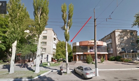 ФОТОФАКТ: В Кременчуге машину привалило деревом