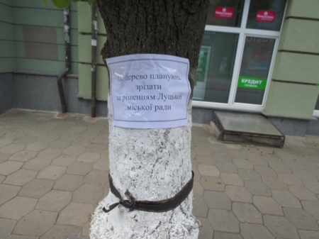 Кременчужани провели ніч у вогняному Луцькому замку