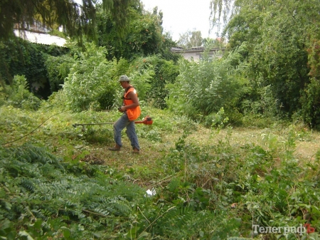 В Кременчуге коммунальников чуть не оштрафовали за шумный покос травы в парке
