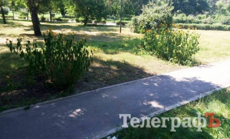 В Кременчуге исчез памятный знак комсомолкам-подпольщицам