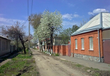 Хто платитиме податок за будинок, дачу та сарай