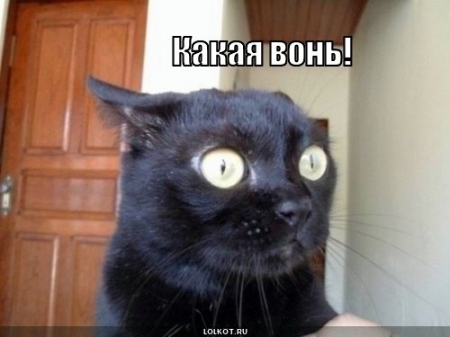 Вночі кременчужани задихалися від смороду