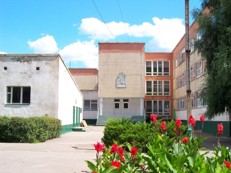 На вихідних біля школи померла кременчужанка