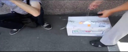 В Кременчуге СБУ «накрыла» группу наркодилеров-контрабандистов В Кременчуге СБУ «накрыла» группу наркодилеров-контрабандистов