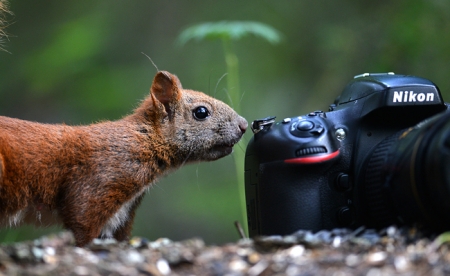 У кременчужанки в кафе вор утащил фотоаппарат за 15 тысяч гривен