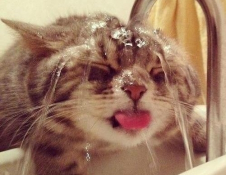 На следующей неделе в Кременчуг вернётся жара