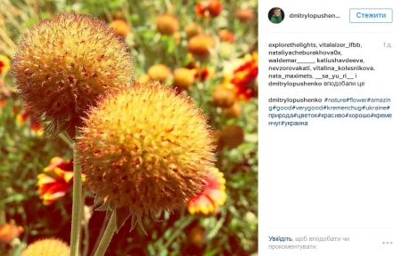 Наш ответ флешмобу с пакетом «АТБ» и очень жаркая полиция