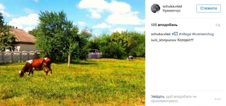 Наш ответ флешмобу с пакетом «АТБ» и очень жаркая полиция