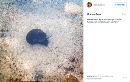 Наш ответ флешмобу с пакетом «АТБ» и очень жаркая полиция