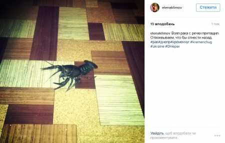 Наш ответ флешмобу с пакетом «АТБ» и очень жаркая полиция