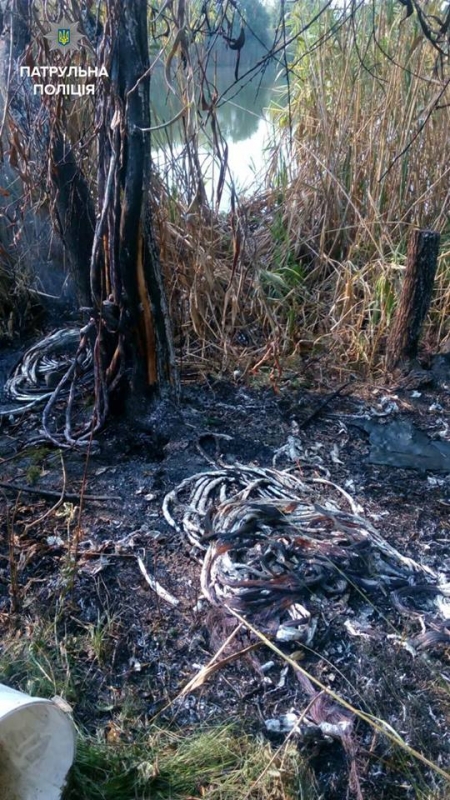 В Кременчуге вор кабелей пытался скрыться от полиции вплавь