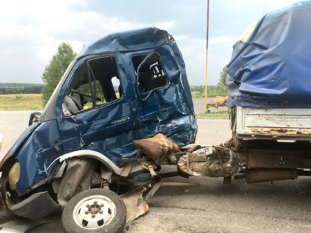 В районе Решетиловки ДТП: 1 человек погиб, двое детей в коме