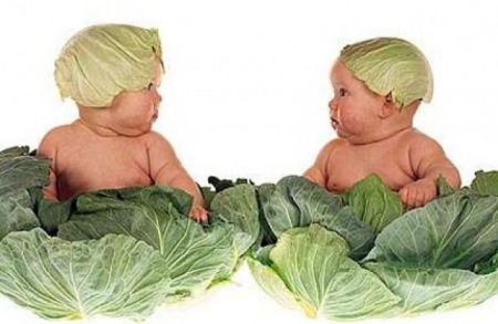 За полгода кременчужан стало меньше на полтысячи, но они стали больше нарушать закон