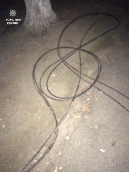 «Двічі в одну річку не ввійдеш», – думав злодій, змотуючи телефонний кабель 