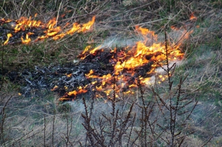 Новий заробіток у Кременчуці – спалювання листя біля управління патрульної поліції